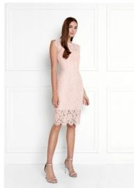 Suzette Lace Mini Dress at Rachel Zoe