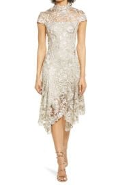 Tadashi Shoji Embroidered Lace Mock Neck Dress at Nordstrom