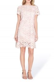 Tahari Lace Sheath Dress  Regular   Petite at Nordstrom