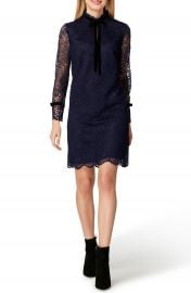 Tahari Lace Shift Dress at Nordstrom