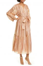 Talitha Metallic Stripe Long Sleeve Silk Maxi Dress at Nordstrom