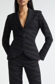 Tatum Metallic Zebra Jacket at Nordstrom