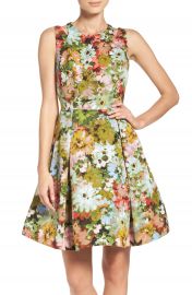 Taylor Dresses Vintage Floral Fit and Flare Dress at Nordstrom
