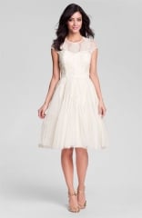 Ted Baker London Embroidered Mesh Fit andamp Flare Dress at Nordstrom