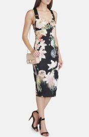 Ted Baker London and39Opulent Bloomand39 Sheath Dress at Nordstrom