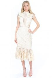 Tenby Camilla Dress at Amy inc