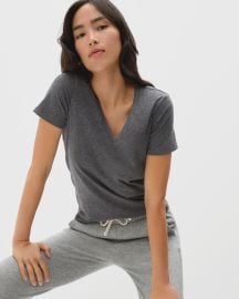 The Organic Cotton V-Neck Charcoal Everlane at Everlane