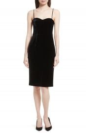 Theory Luxe Velvet Corset Dress at Nordstrom