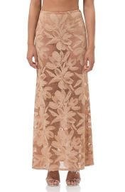 Tilly Sheer Floral Lace Maxi Skirt at Nordstrom