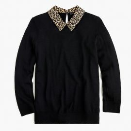 Tippi Sweater with Leopard Collar at J. Crew