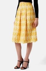 Topshop Daisy Embroidered Pleated Midi Skirt at Nordstrom