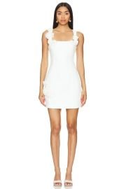 Trompe Dress at Revolve