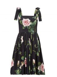 Tropical Rose-print cotton-poplin dress at Matches