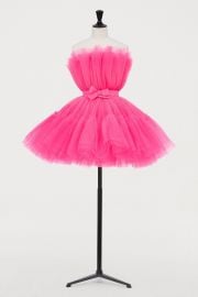 Tulle Dress by H&M x Giambattista Valli at H&M