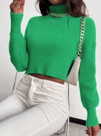 Turtleneck Drop Shoulder Crop Sweater Without Necklace at Shein