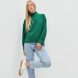 Turtleneck in ReCashmere at Everlane