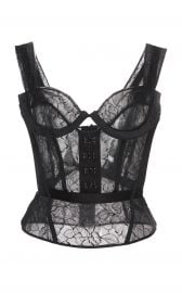 Tybbie Sheer Lace Cotton-Blend Corset Top at Moda Operandi