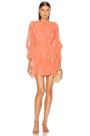 Ulla Johnson Aberdeen Dress in Coral   FWRD at Forward