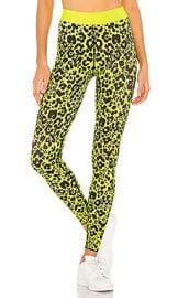 Ultracor Leopard Sports Bra in Neon at Revolve