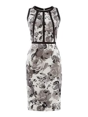 Untold Pencil Skirt at House of Fraser