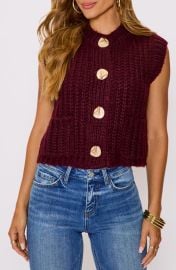 VICI Collection Daphne Hammered Button Sweater Vest at Nordstrom