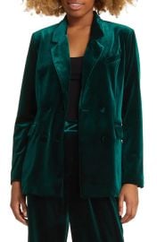 Velvet Blazer at Nordstrom