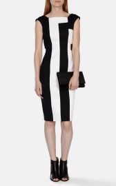 Vertical Stripe Panelled Dress at Karen Millen