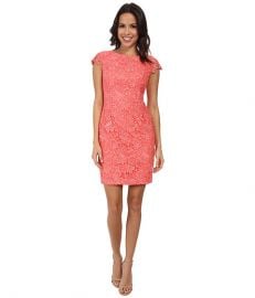 Vince Camuto Fitted Lace Dress with Cap Sleeve Coral at 6pm