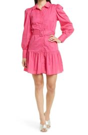 Walter Baker Tara Puff Sleeve Belted Shirt Dress in Pink at Nordstrom Rack