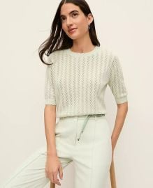 Weekend Pointelle Sweater Tee at Ann Taylor