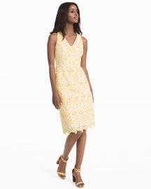 White House Black Market Tonal Lace Sheath Dress at White House Black Market