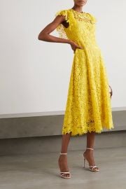 Wildflower guipure lace midi dress at Net a Porter