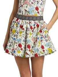 Women\\\'s Haven Flare Miniskirt - Dollhouse - at Saks Fifth Avenue