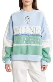 YELLOW THE LABEL Varsity Wellness Academy Colorblock Embroidered Sweatshirt at Nordstrom