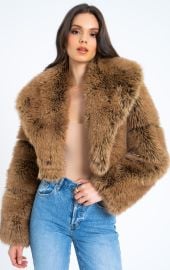 Yadavi Plush Vegan Faux Fur Cropped Jacket at Nordstrom