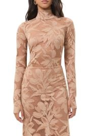 Zadie Sheer Floral Lace Turtleneck Top at Nordstrom