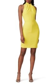 Zana Sheath by Black Halo for 40 - 55 at Rent the Runway