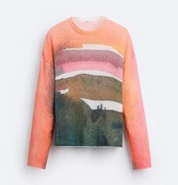 Zara Abstract Knit Sweater at eBay