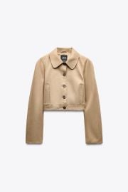 Zara Camel Jacket at Zara