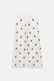 Zara Contrast Embroidered Coluttes at Zara