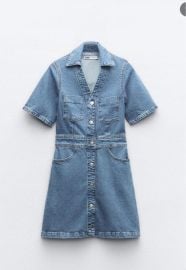 Zara Denim Mini Dress at Zara