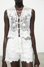 Zara Embroidered Lace Top at Zara