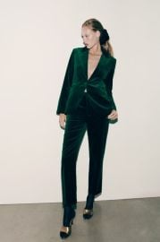 Zara Fitted Velvet Blazer at Zara