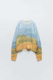 Zara Landscape Print Sweater at Zara