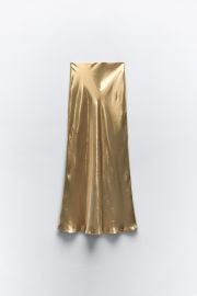 Zara Long Metallic Skirt at Zara