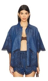 Zimmermann Coco Embroidered Denim Shirt In Railway Blue at Revolve