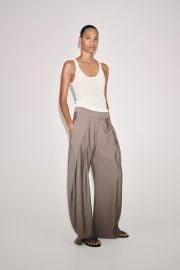 Zw Collection Pleated Wide Leg Pants at Zara