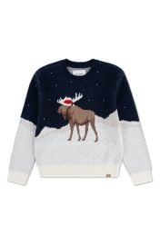 abercrombie kids Kids\' Moose Sweater at Nordstrom