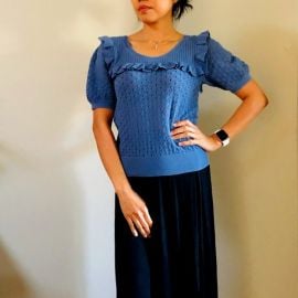 amp Other Stories  Sweaters  New With Tag Other Stories Blue Short Sleeve Knit Sweater Wruff at Poshmark