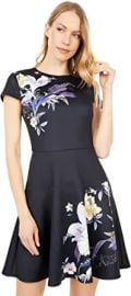 com Ted Baker Decadence Skater Dress  Clothing Shoes amp Jewelry at Amazon